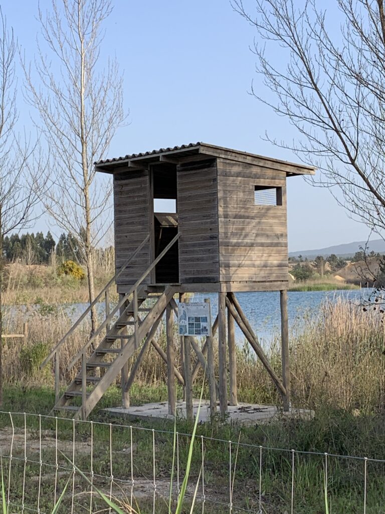 observatório